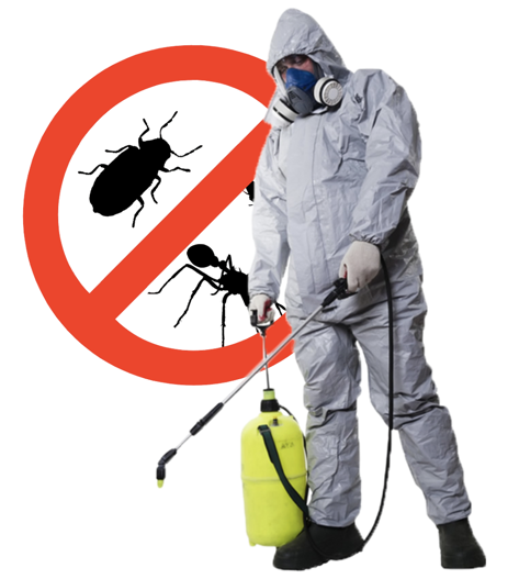 Captura_de_Pantalla_2023-05-25_a_la_s__4.15.46_p._m.-removebg-preview