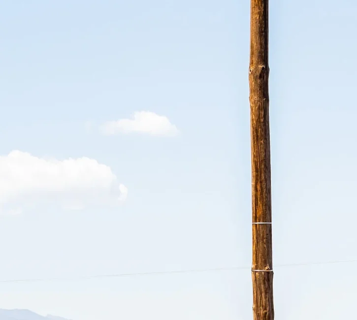 vertical-shot-small-wooden-electric-pole-meadow-south-africa_2_11zon